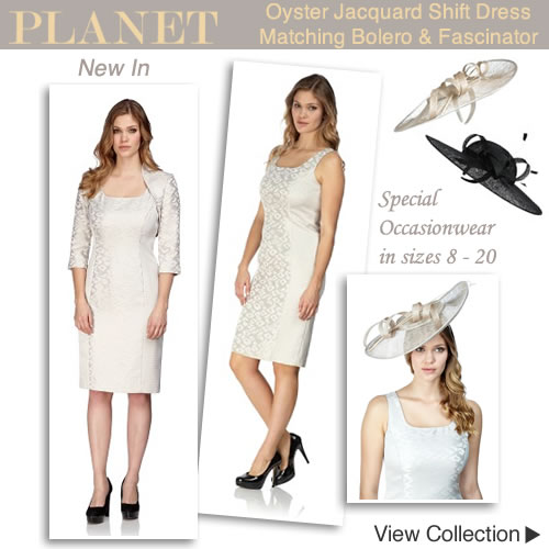 Animal Print Jacquard Shift Dress Matching Bolero Two Piece Outfit